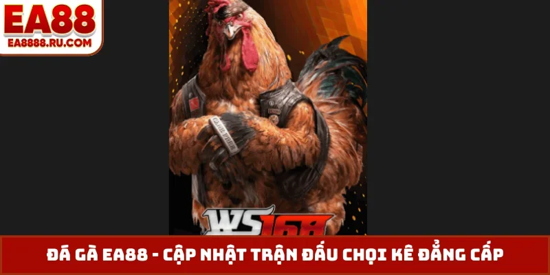 Đá gà EA88