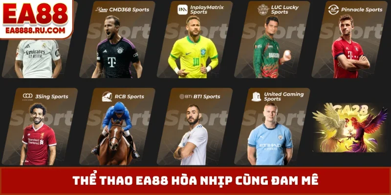 Thể thao EA88 hòa nhịp cùng đam mê